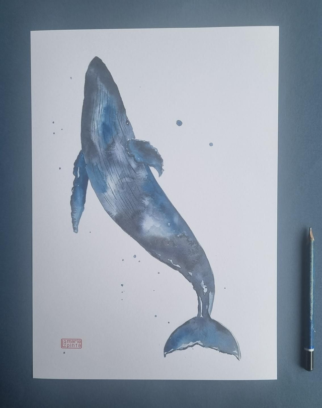 baleine voie lactée à partir de 4€