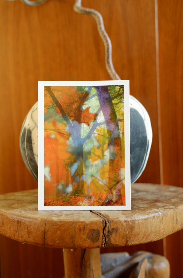 Carte postale A6 "Les Arbres couleurs"