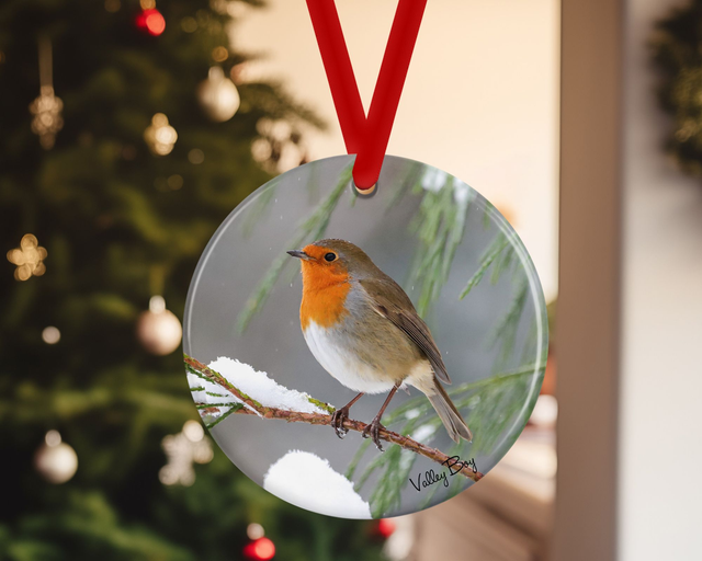 "Christmas Robin" Ceramic Christmas Decoration   