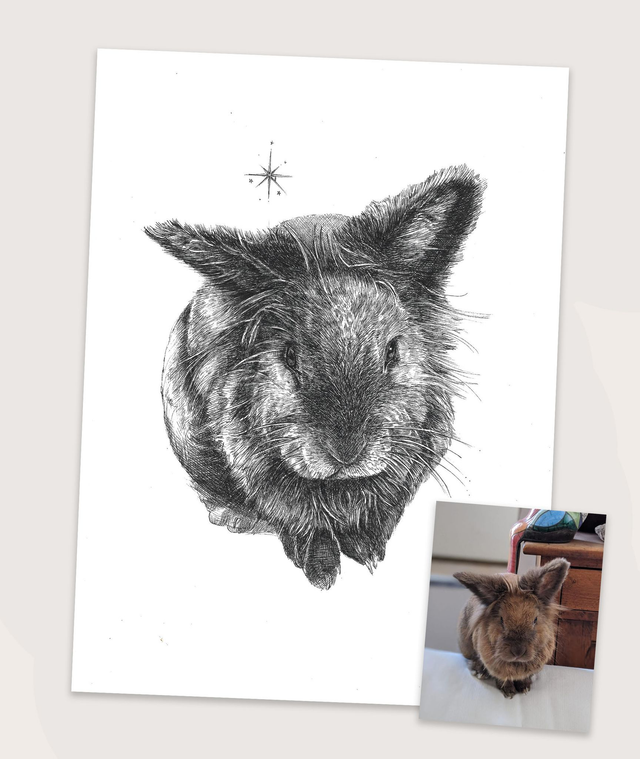 Portrait original d'un animal (autre que chien)