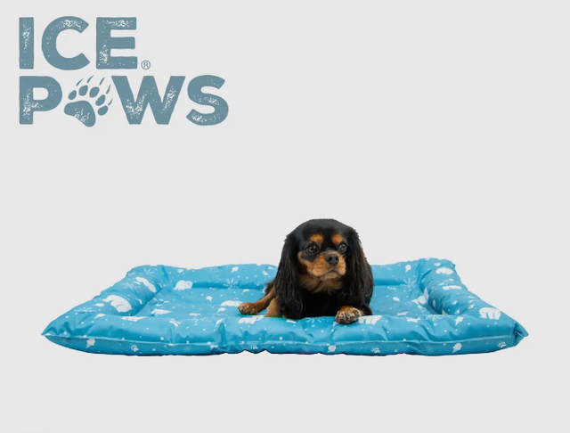 Ancol | Ice Paws Cooling Bed