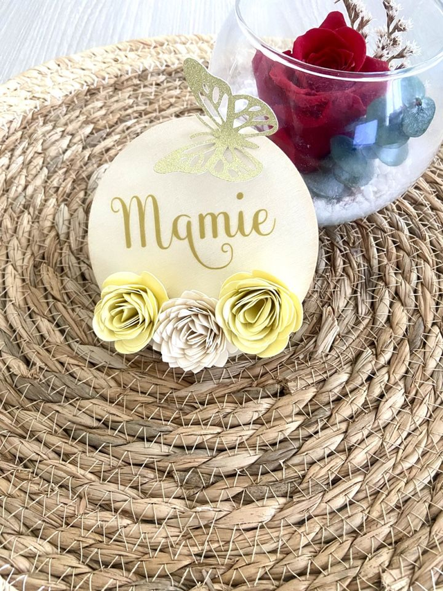Magnet MAMIE