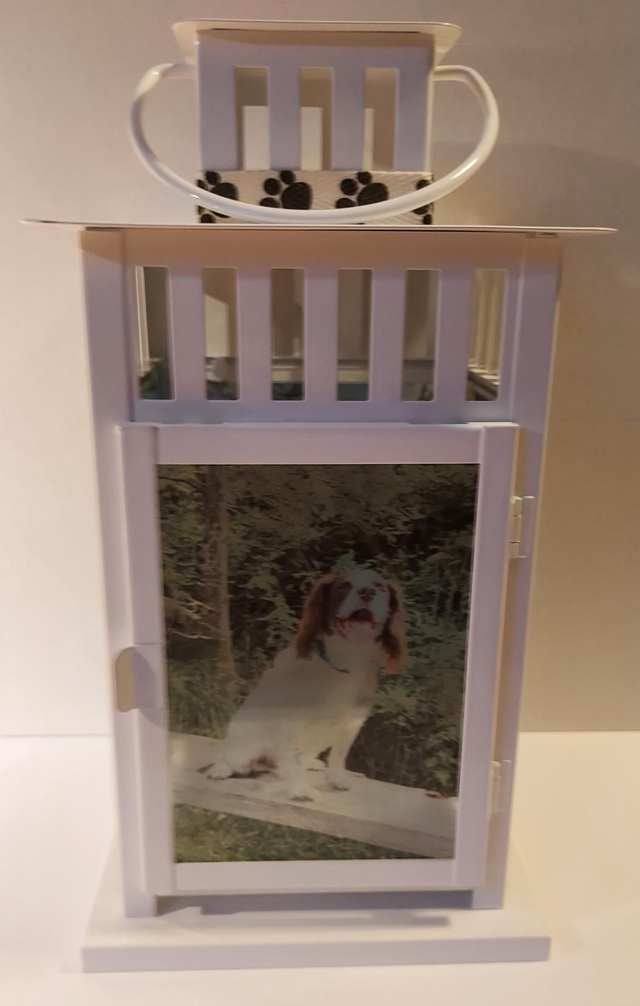 Pet Lantern 
