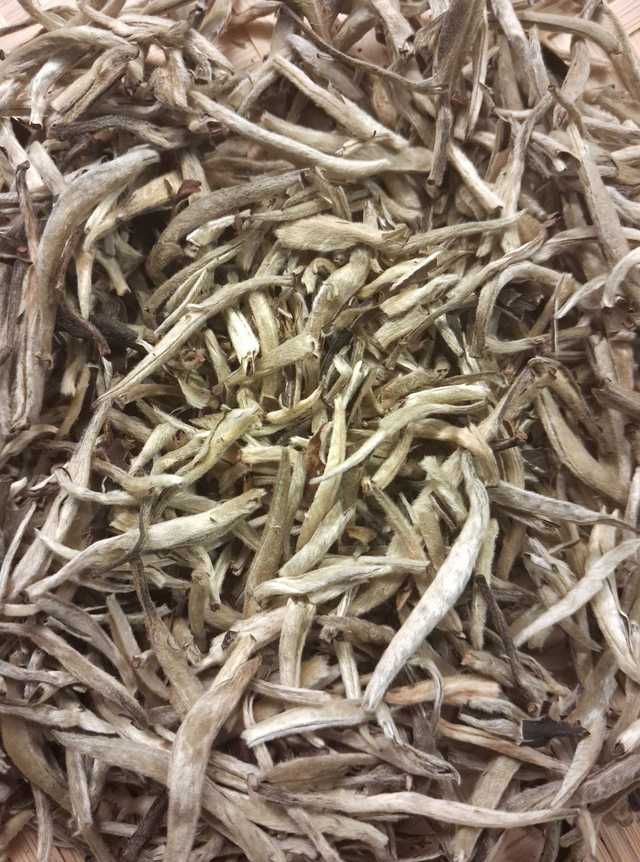 Vietnam Silver Tips White Tea (Ha Giang)_Pre-Order