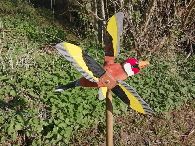 Chardonneret élégant 