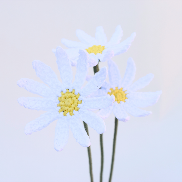 Marguerite