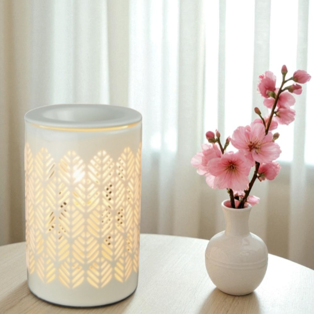 Diffuseur par chaleur douce Calorya N°9