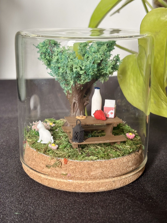 đ Terrarium verre 10cm - Ădition Ă©tĂ©