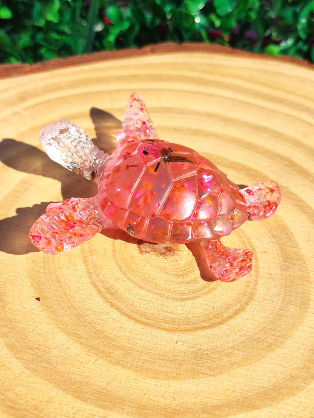 Tortue de mer