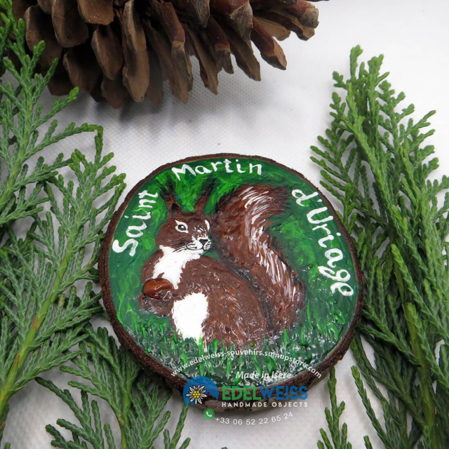 Saint Martin d'Uriage - écureuil sur la pelouse