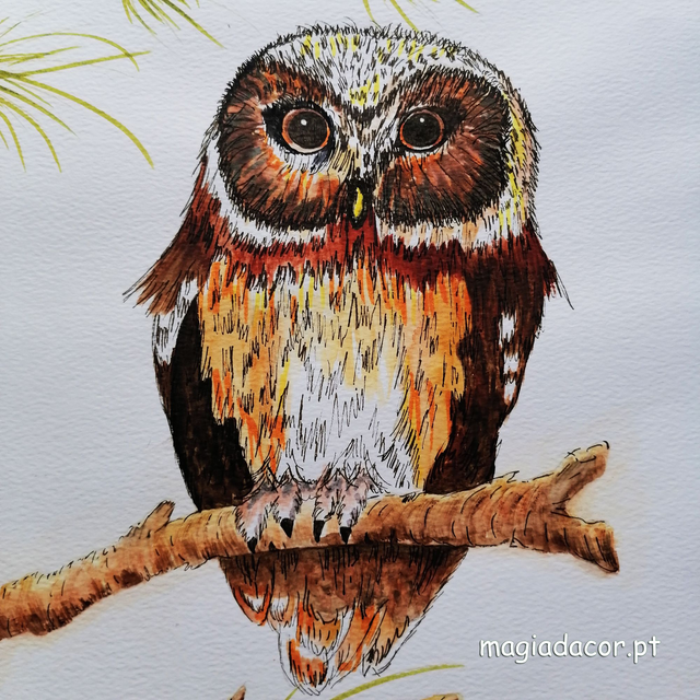 Watercolor - Owl