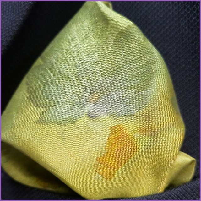 100% Silk Pocket Square - dyed with weld and indigo, eco-printed with sycamore, onion skin and coreopsis