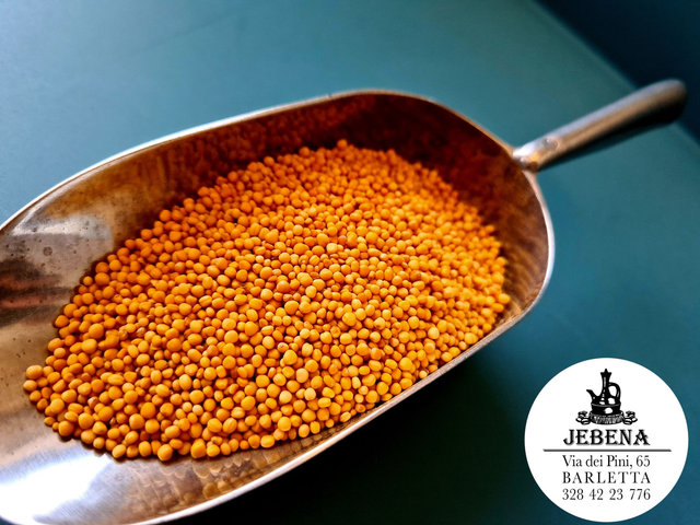 Semi di Senape Gialla BIO