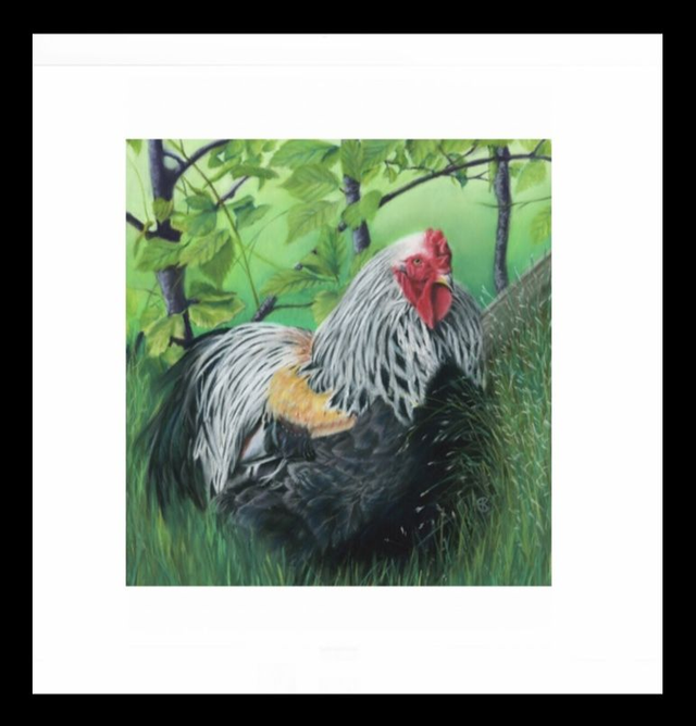 Print (medium) 'DE HAAN' (Konijnenparadijs)