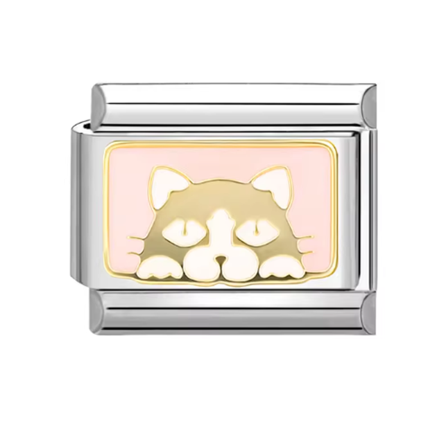 Charm Gatito con Fondo Rosa