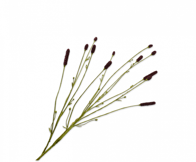 Silk-Ka Pimpernel Bruin 84cm