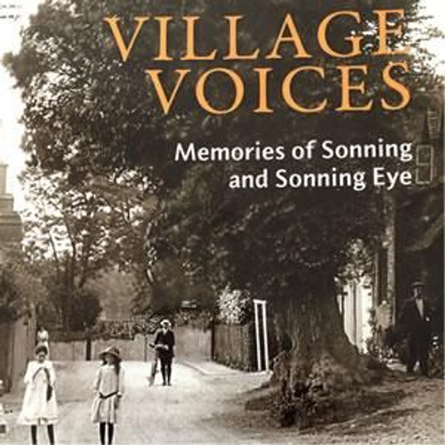 Book and/or DVD: Village Voices