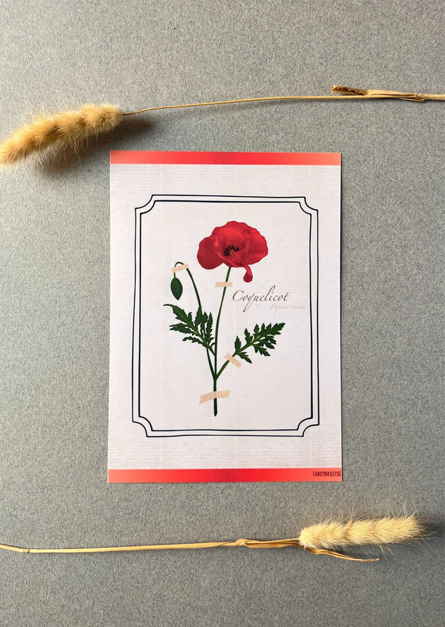 Affiche 08. Le Coquelicot (août)