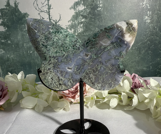 Large moss butterfly on custom stand
