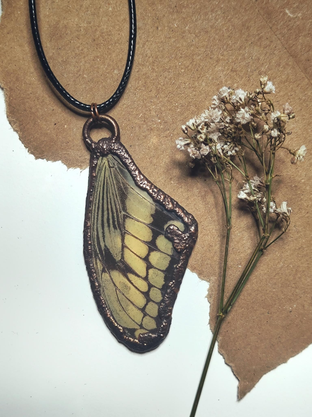 Copper Framed Butterfly Wing Necklace