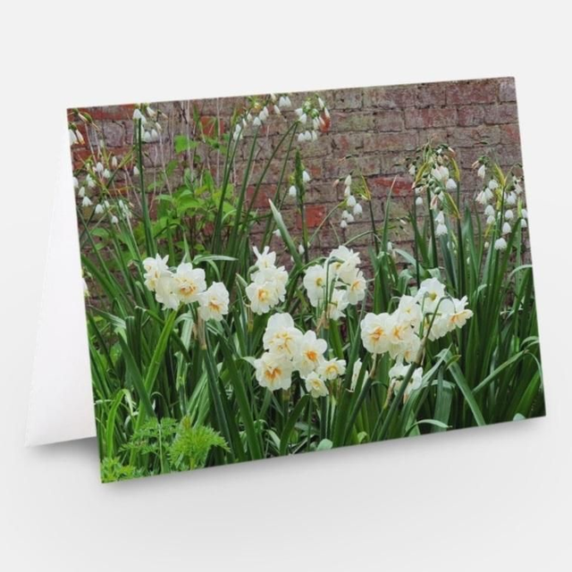 Daffodils and Snowdrops flowers greeting card