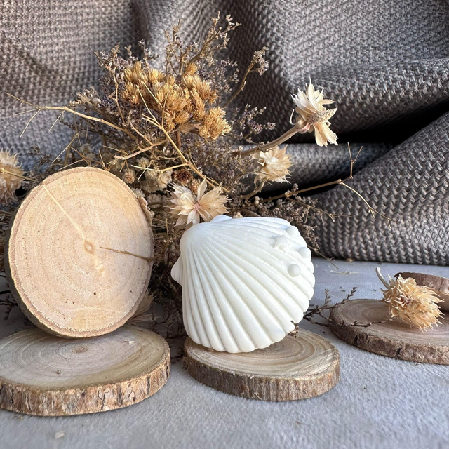 Coquillage fondant Nouvelle-Zélande