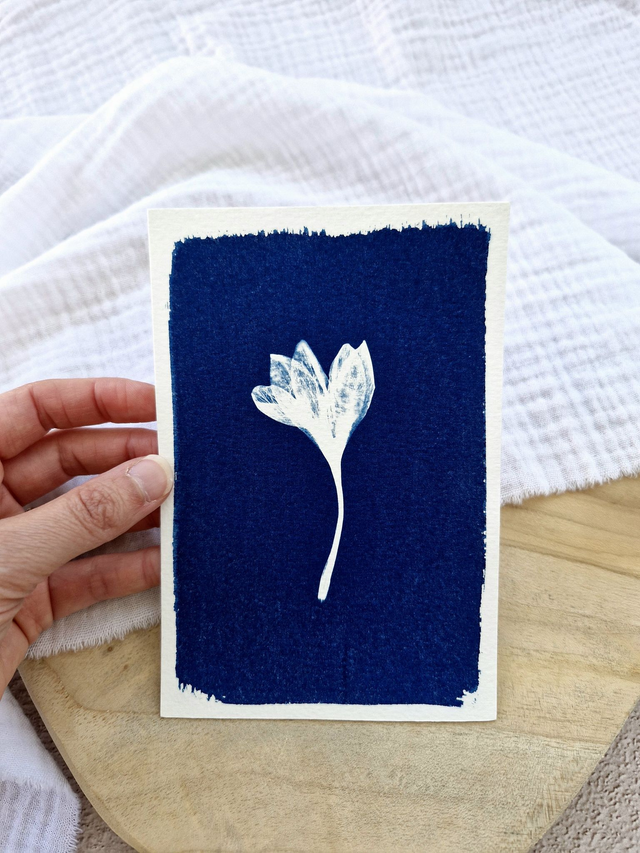 Mini CyanÔ - Carte - Crocus #4