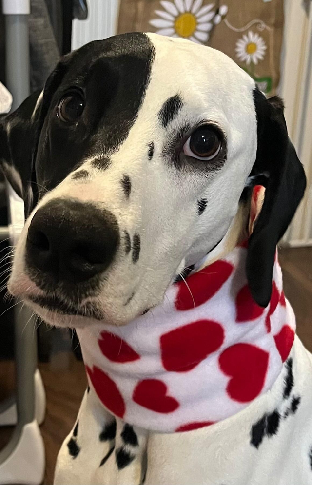 Handmade patterned fleece snood