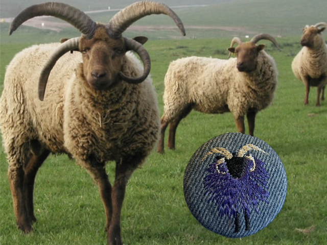 The Funky Purple Loughtan Button
