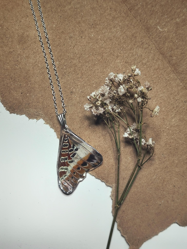 Real Butterfly Wing Necklace 