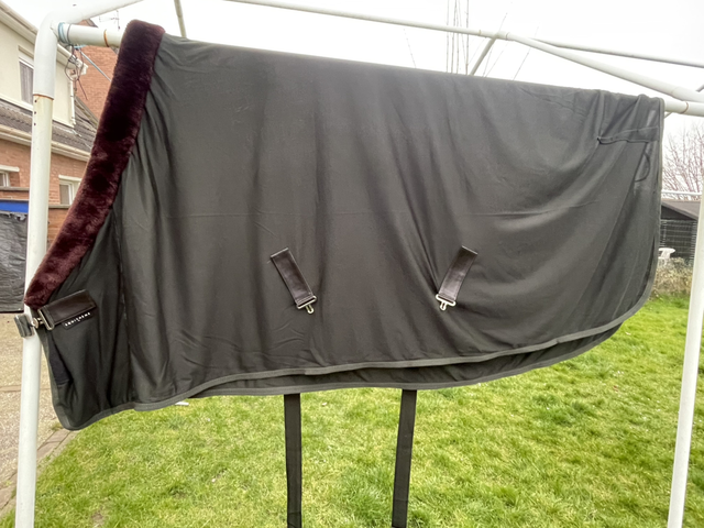 Chemise séchante Equitheme col mouton 165cm