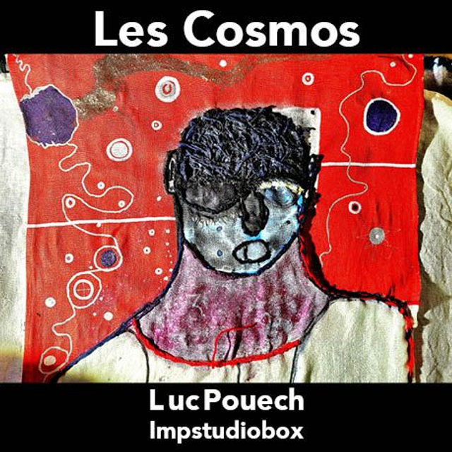 Les Cosmos - Luc Pouech