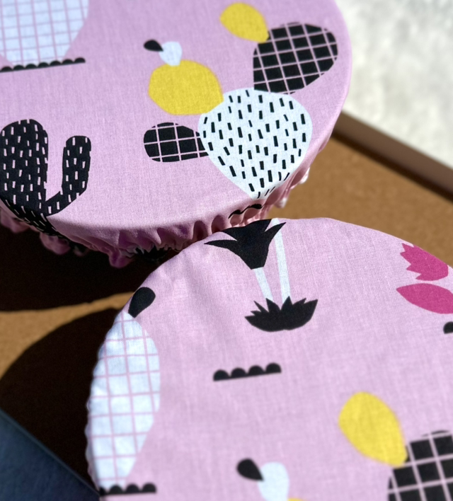 Charlotte alimentaire CACTUS