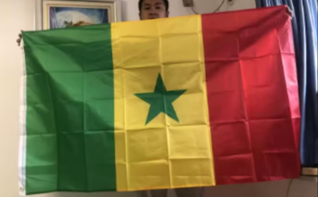 Grote vlag Senegal (150x90cm)