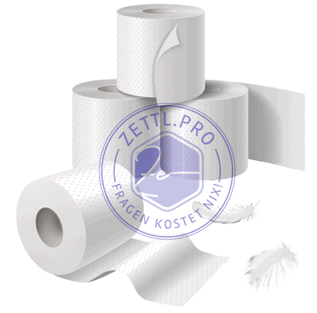 Toilettenpapier 2lg. 64 Rollen Naturweiß                      