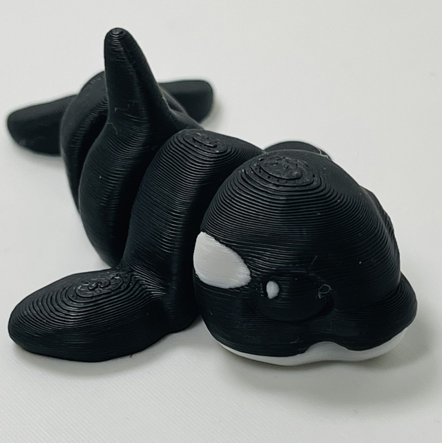 Orca Killer Whale UKCA