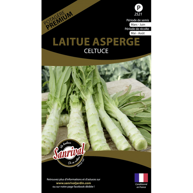 LAITUE ASPERGE CELTUCE