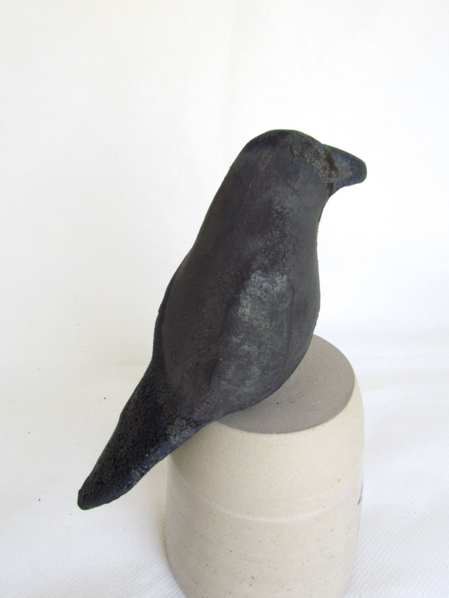 Popeye maxi corneille