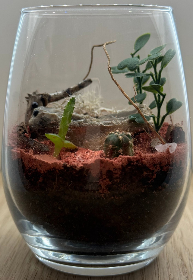 Bowo® BOTSWANA connecté Home 