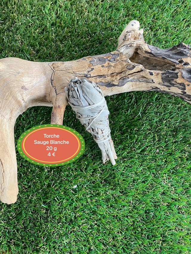 Sauge Blanche pour fumigation torche 20g