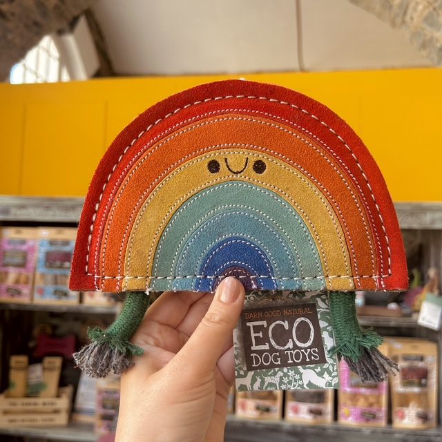 Green &amp; Wild&#039;s Rainbow Warrior, Eco Dog Toy