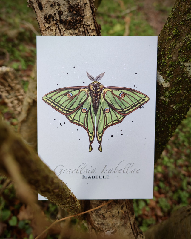 Isabelle - Carte format A6