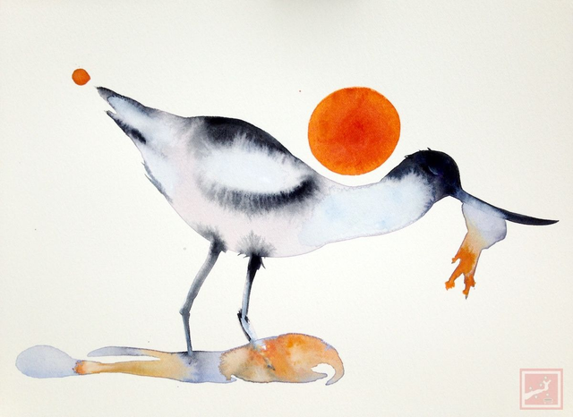 avocet with jellyfish