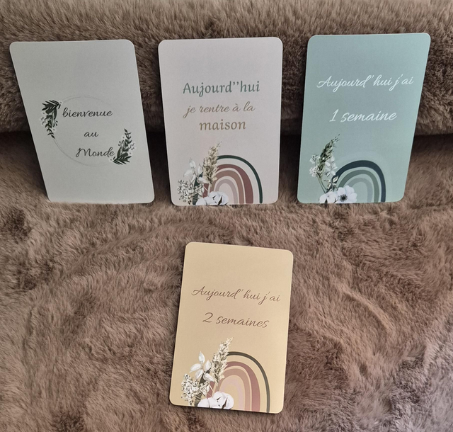 Cartes étapes bébé thème Romy 