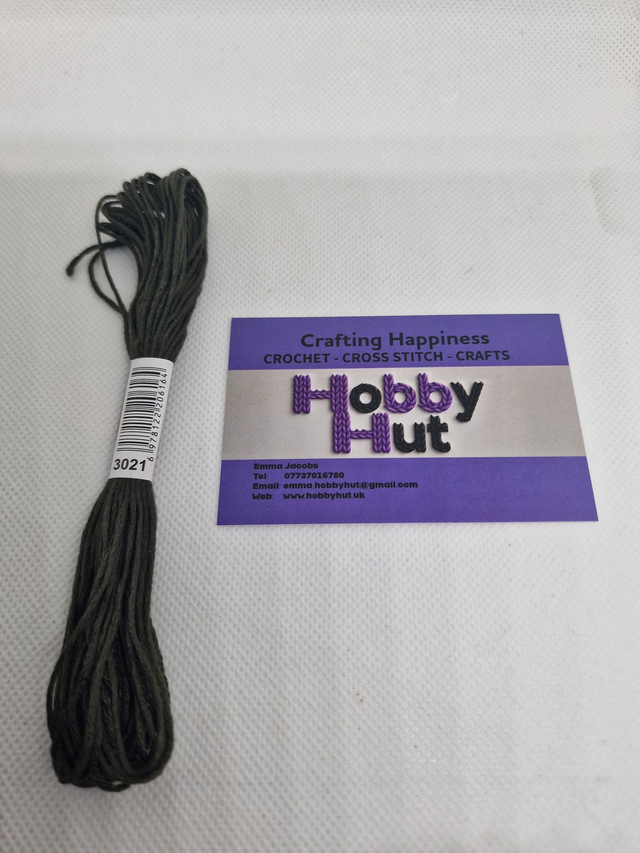 Embroidery Thread - 3021