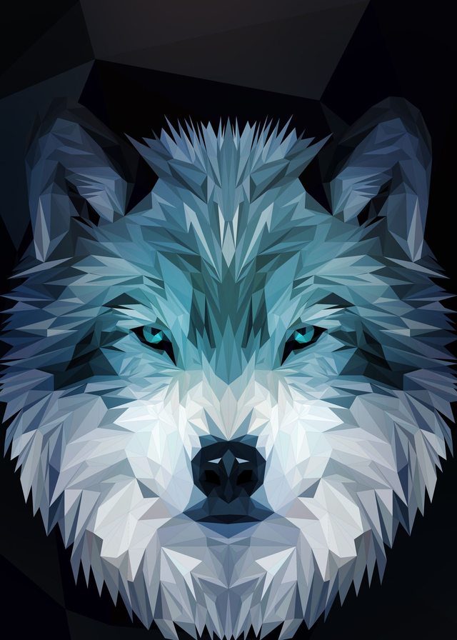 Poster Loup low poly