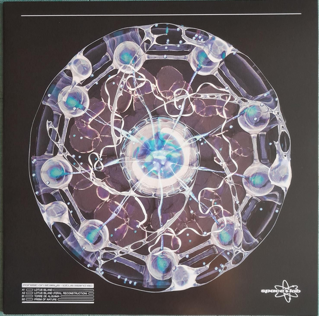 Forest On Stasys - Lotus Island EP - SPCLAB011 - 12"