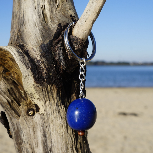 Graine Bleue Marine