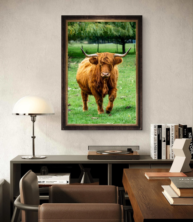 Highland Cow - Print Only 