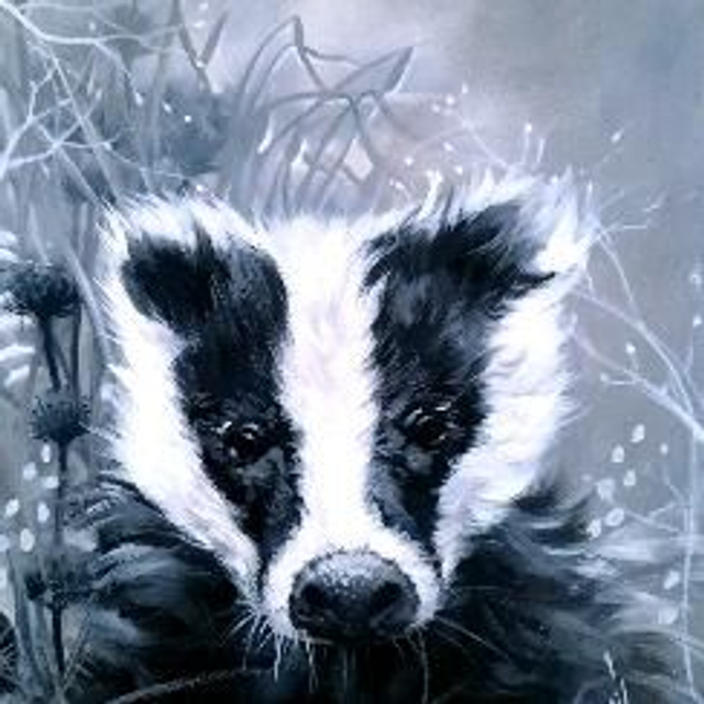 Billy The Badger